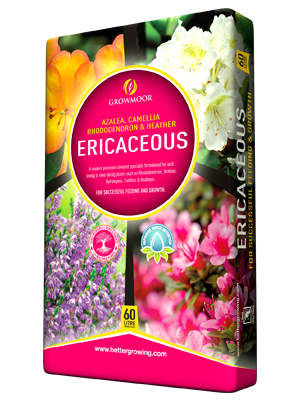 Ericaceous Compost